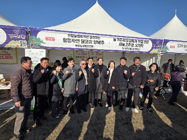 들불축제 맞아 '달코미 양배추' 소비촉진행사 진행 대표 이미지