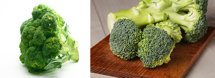브로콜리
